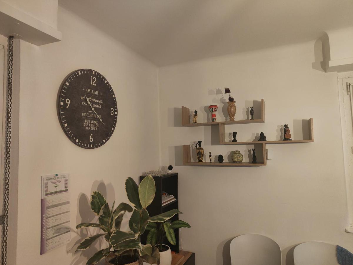 Tres Grand Appartement De 76M2 A Strasbourg Luaran gambar